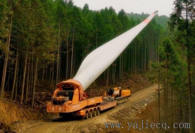 图片3.jpg 图片3.jpg